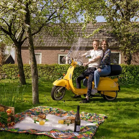 Tiny Hofje 16 Persons Resort Voorthuizen